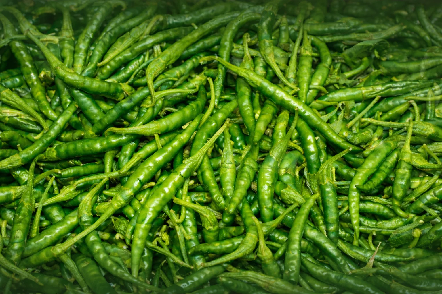 Premium Green Chili