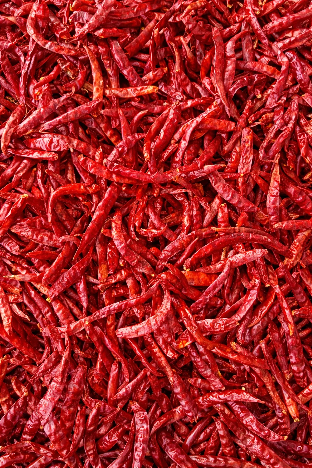 Dry Red Chili